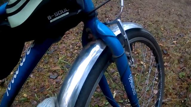 2021-11-07 Ногинск - Ямкино - Соколово (леса) - Починки - Ногинск // тестовый выезд смотреть онлайн