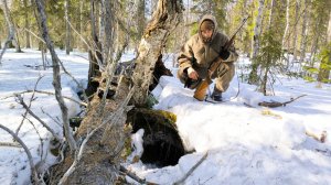 НАШЁЛ БЕРЛОГУ В ТАЙГЕ / КАК ВЫГЛЯДИТ МЕДВЕЖЬЯ БЕРЛОГА / СЛЕДОВ КОСОЛАПОГО ПО СНЕГУ НЕТ ДО СИХ ПОР.