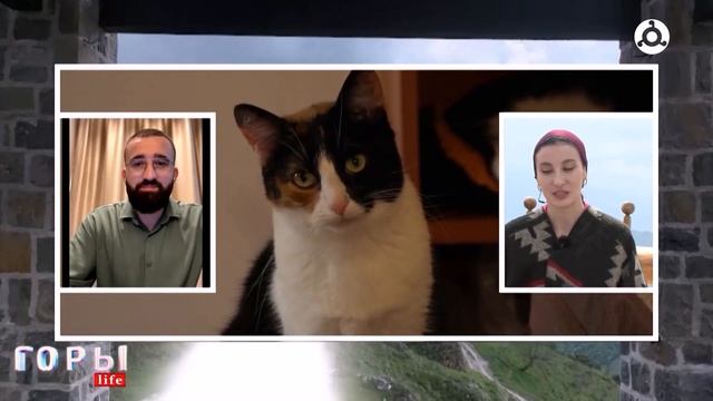Горы life. 10.08.2024 г. смотреть онлайн