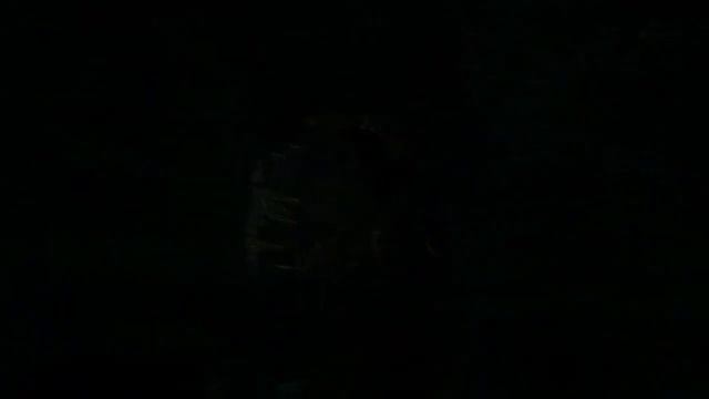 It's Dark - Симулятор хождения по лесу [Инди Хоррор] смотреть онлайн
