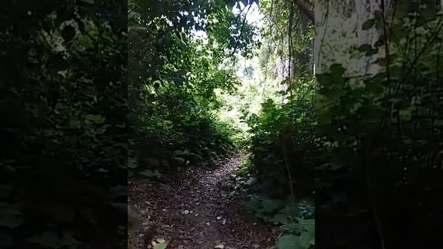 На верх по лестнице Морская даль смотреть онлайн