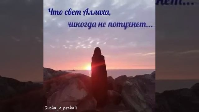 Печаль моя😪 смотреть онлайн