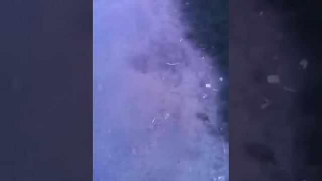 ВЛОГ\ куплю тук пайду в кафе паем / смотреть онлайн