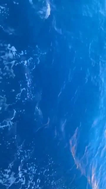 Наш отдых в турции. ДЕНЬ 3.Морские просторы. смотреть онлайн