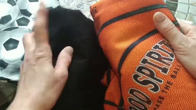 УЧИЛКА ФИЗРЫ. Ткани для пошива костюма. Распаковка посылки. смотреть онлайн