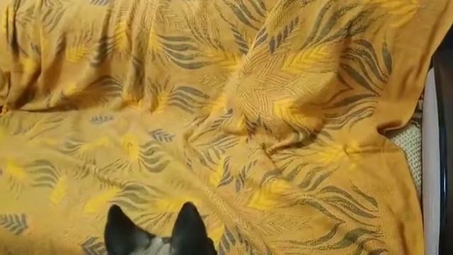 Ульяна 5 VID 20210320 WA0005 смотреть онлайн