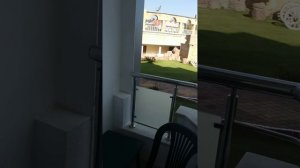 Rox Royal Hotel (ex. Grand Haber Hotel) 5. Турция, Кемер. Обзор  номерного фонда -  1 этаж!