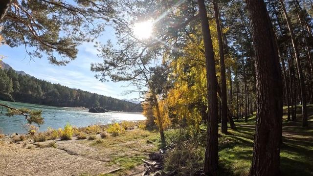 Один день в Горном Алтае. Осень 2023 смотреть онлайн