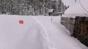 Прошлогодний февраль. Моё хобби.