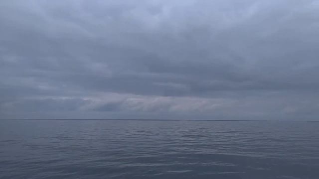 10.11.2020 Мальки смотреть онлайн