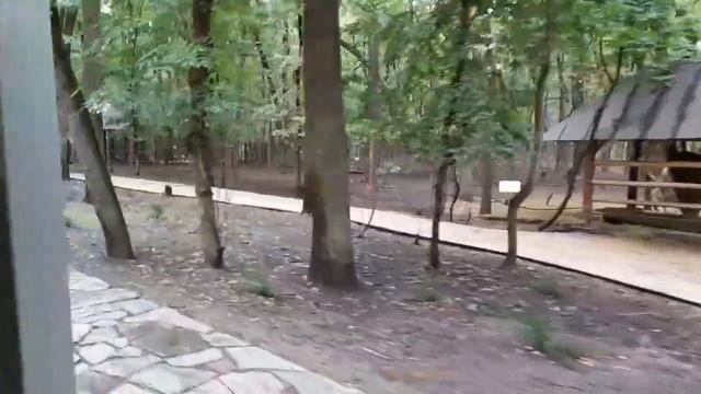 От бассейна к администрации на автобусе по базе Золотой пляж смотреть онлайн