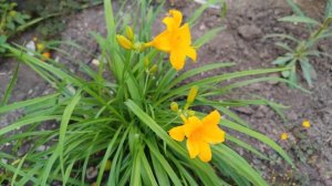 Дом отдыха Полет, Новый Свет, Крым, 7 июня 2024 г.