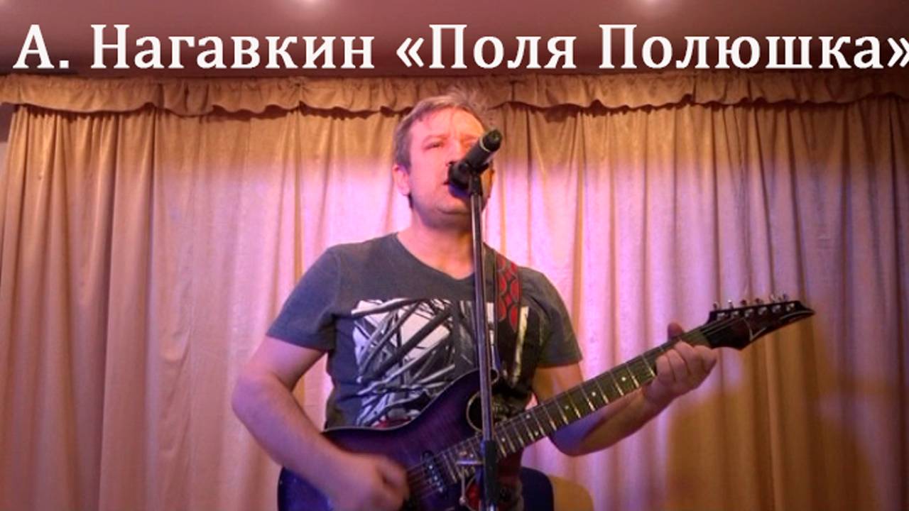 Авторская песня "Поля Полюшка" А. Нагавкин смотреть онлайн