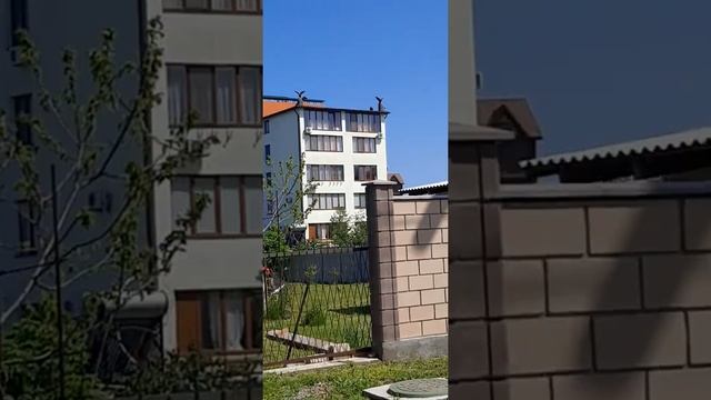 путь с моря от номеров в доме орла Черноморск смотреть онлайн