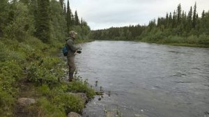 Рыбалка на Кольском полуострове. Дикая сёмга. Вертолёт.