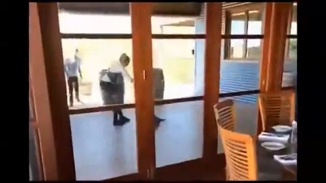 Просто вытаскивают крокодила из кафе смотреть онлайн