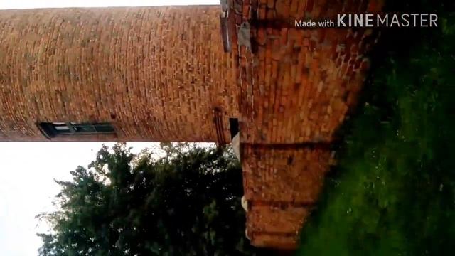 Халявна катаемся на тележке. В конце неудачный залаз! смотреть онлайн