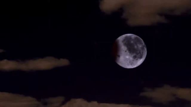 Липа для Агента смотреть онлайн