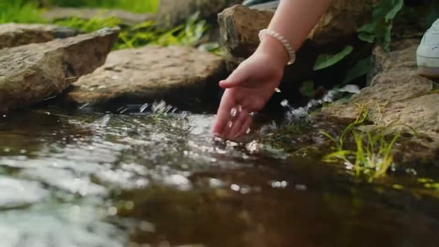 Эколого-просветительская программа! ⠀ смотреть онлайн