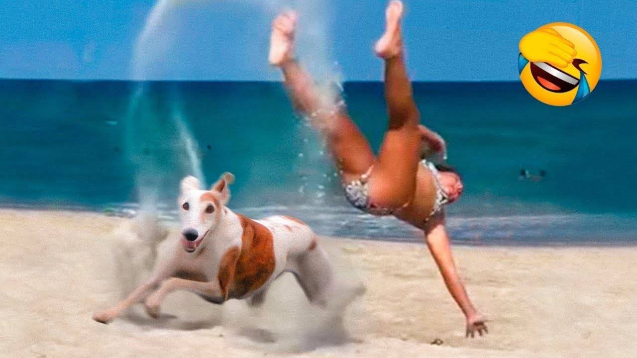 Я РЖАЛ ДО СЛЕЗ 😂 5 Минут ОТБОРНЫХ приколов 2025 Смешные видео - Лучшие ПРИКОЛЫ смотреть онлайн