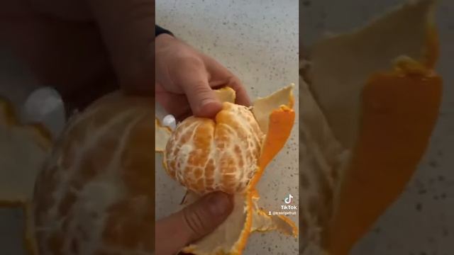 sumo citrus review! смотреть онлайн