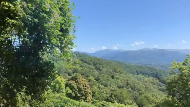 22 августа 2019 г. смотреть онлайн