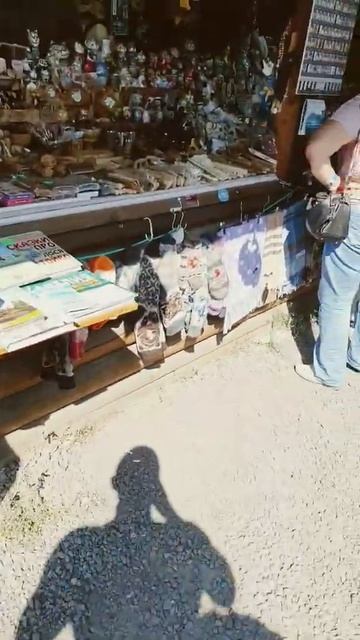 Сувениры в Город Сортавала в Карелии. 2022 смотреть онлайн