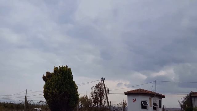 26.12.2021 Feleksiz x Beton soyuna ait gök genç dişimiz kendi isteği ile akşam antrenmanına devam! смотреть онлайн