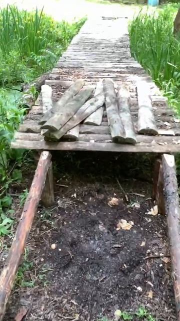 Миссия вполне 🧐 выполнима #кемпинг #отдыхнаприроде #активныйотдых #лес #река #лето #турбаза смотреть онлайн