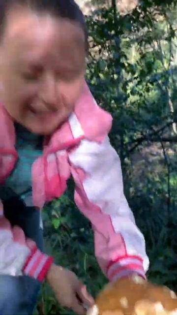 Белые грибы в Сочи. Богатый лес #всочиумаши смотреть онлайн