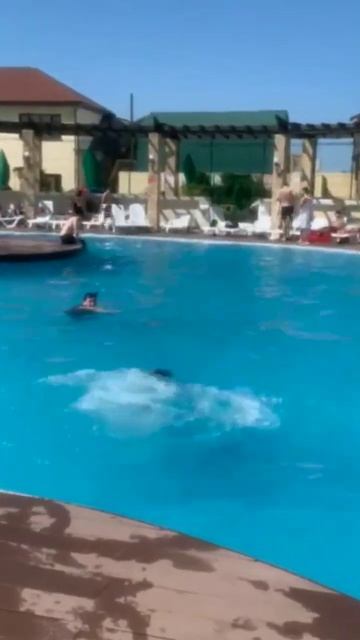 арена бич смотреть онлайн