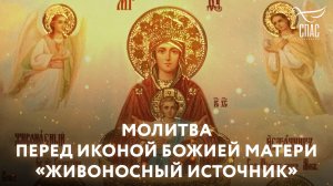 Молитва перед иконой Божией Матери «Живоносный источник»