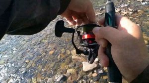 СИМА 2024 Cherry Salmon. РЫБАЛКА В ПРИМОРСКОМ КРАЕ