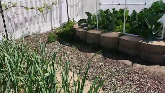 Garden Tour May 2022 смотреть онлайн