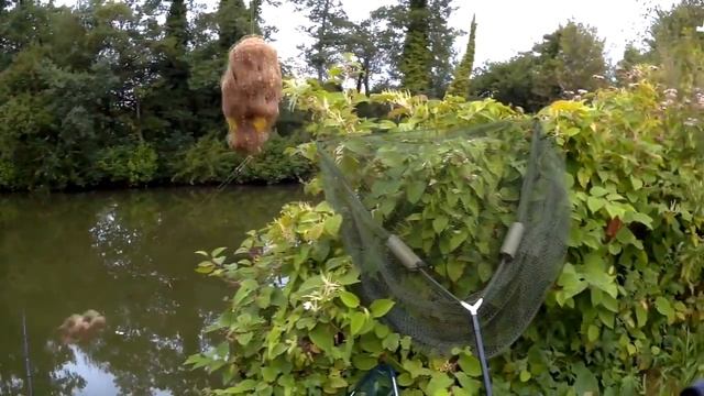 Рыбалка Карп на 5 500кг смотреть онлайн