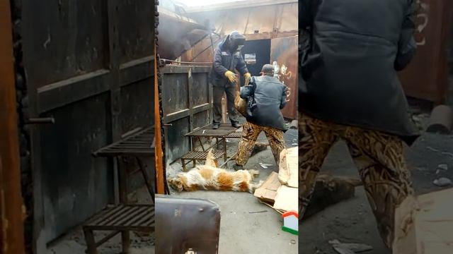 Салехард жесть на объездной смотреть онлайн