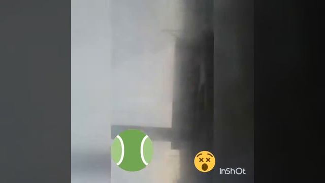 19 марта 2017 г. смотреть онлайн