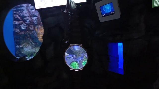 Влог 2:Обзор на океанариум г.Владивосток смотреть онлайн