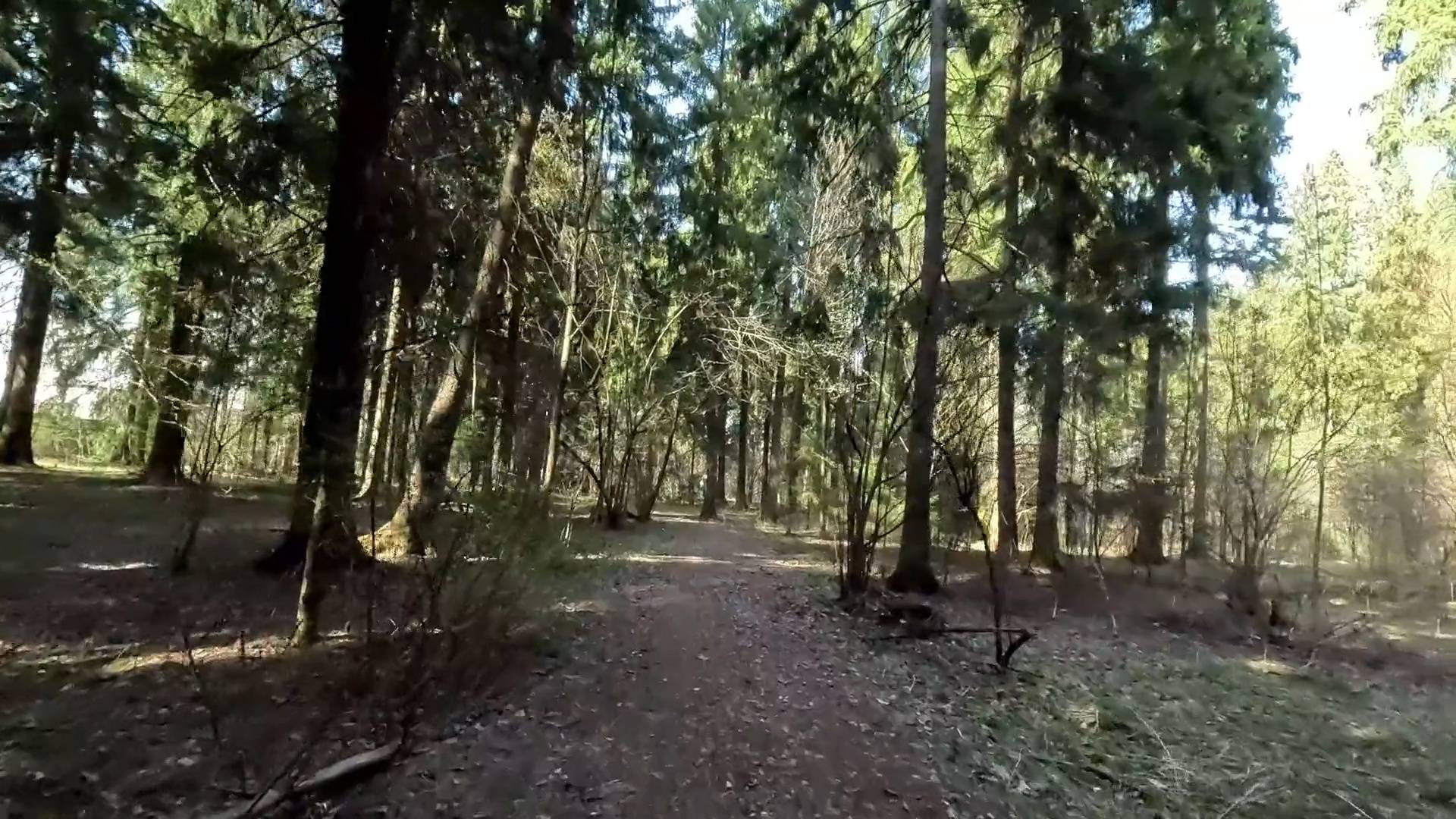 Пытаюсь найти дорогу из Зеленогрязи.Где то потерял кофту.День Рождение в самом разгаре.Где я ? смотреть онлайн