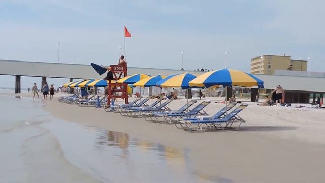 США. Daytona Beach Мини черепашки) смотреть онлайн