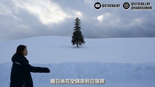 【北海道自駕遊】美瑛9大景點美食一日遊｜森林精靈露台＋白鬚瀑布＋白金青池＋聖誕之樹＋俵真布＋Mild Seven之丘＋七星之木｜美瑛地道串燒｜Day2 смотреть онлайн