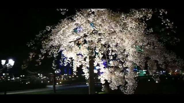 Зас.арт.РФ Марьям Ташаева - Чечня моя сл. А. Григорьяна муз. М. Ташаевой смотреть онлайн