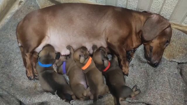 Наши малыши ❤ растут