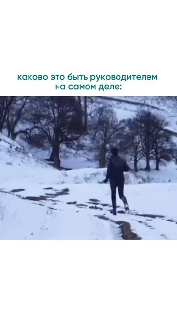 подпишись, будет интересно