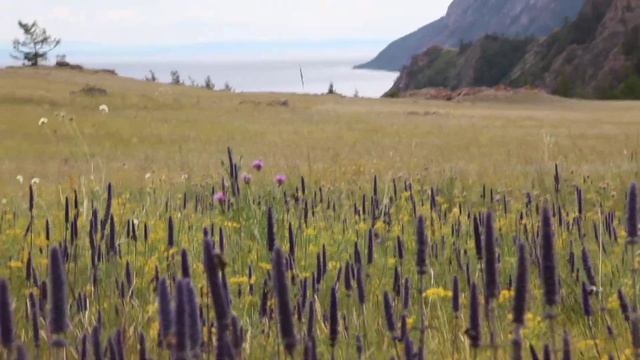 Красивейшие места Байкала: Байкал, о.Ольхон, Узуры. The most beautiful places of Lake Baikal смотреть онлайн