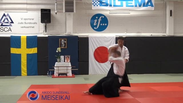 16 Aikido Tachidori Iriminage Omote, Shishiya Sensei Sundsvall 2015