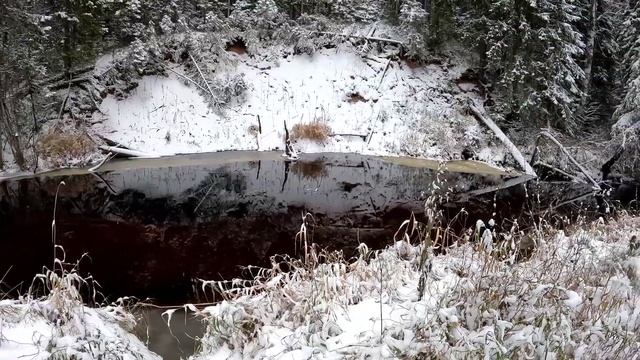 Река Няндома. смотреть онлайн