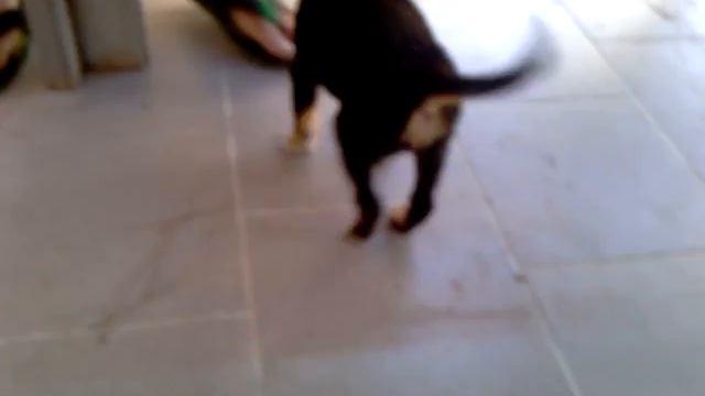 Попрошайка смотреть онлайн