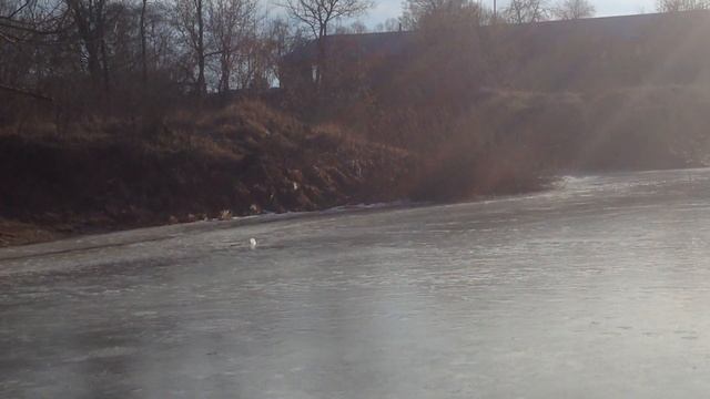 Глэмпинг. Дом. На даче.Спортбаза. Объединение смотреть онлайн