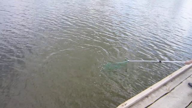 Дашкины пруды Рита и Алеша смотреть онлайн